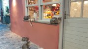 20211024_184040.jpg 20211024_184040.jpg